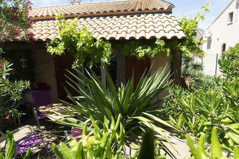 Ein charmantes Haus mit einem gepflegten Garten und blühenden Pflanzen