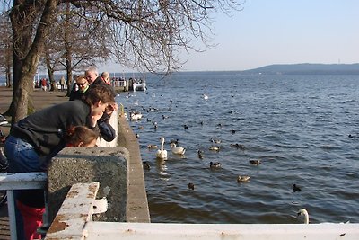 Ferienwohnung Reusch Friedrichshagen