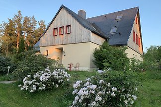 Tolle Wohnung in perfekter Lage