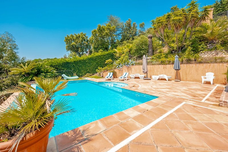 A stunning outdoor oasis with a sparkling swimming pool and lush green landscaping.