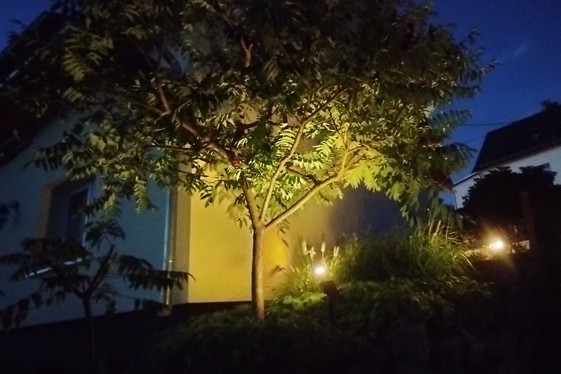 Gartenbereich nachts mit stilvoller Beleuchtung