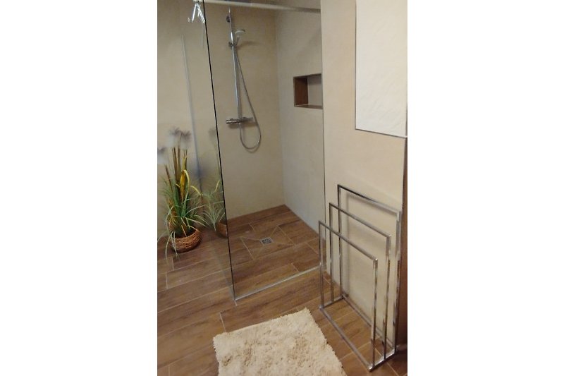 Schönes Badezimmer mit stilvoller Dusche, Holztür und Fliesen