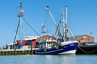 Tolles Ferienhaus, mit allem was man benötigt