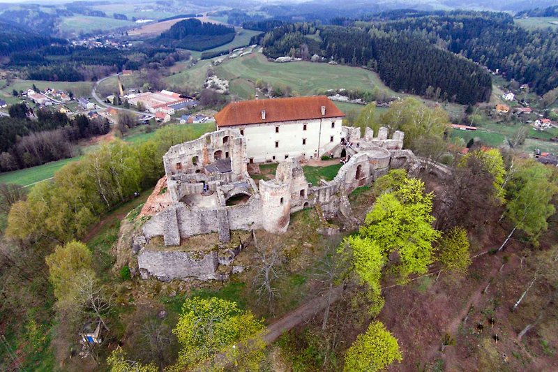 Castle Pecka /8km from Na Potoku/