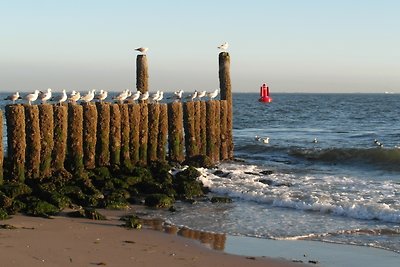 Chalet für 4 Personen in Strandnähe