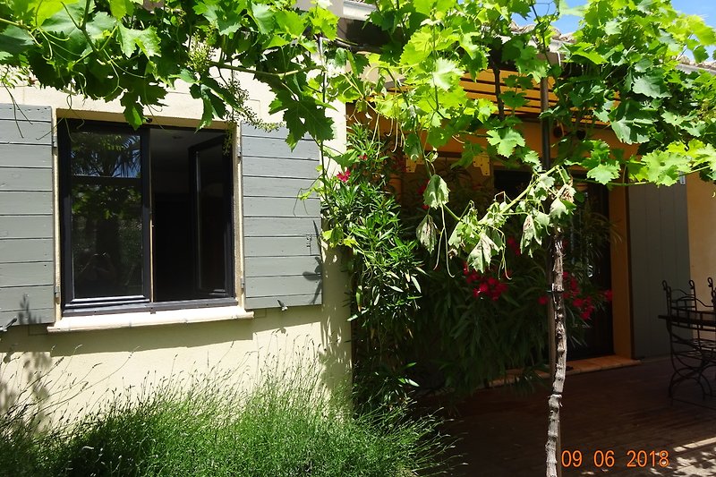 Schönes Ferienhaus mit grünem Garten und gemütlicher Außenmöblierung.