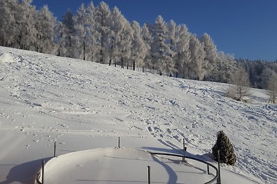 SRUB KAŠPARÁCI