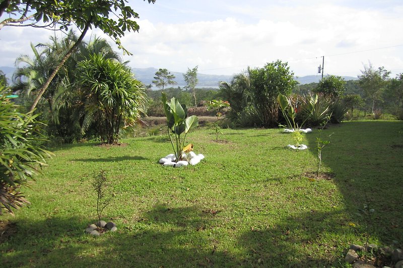 Tropischer Garten mit Palmen, Wiese und Wildtieren.