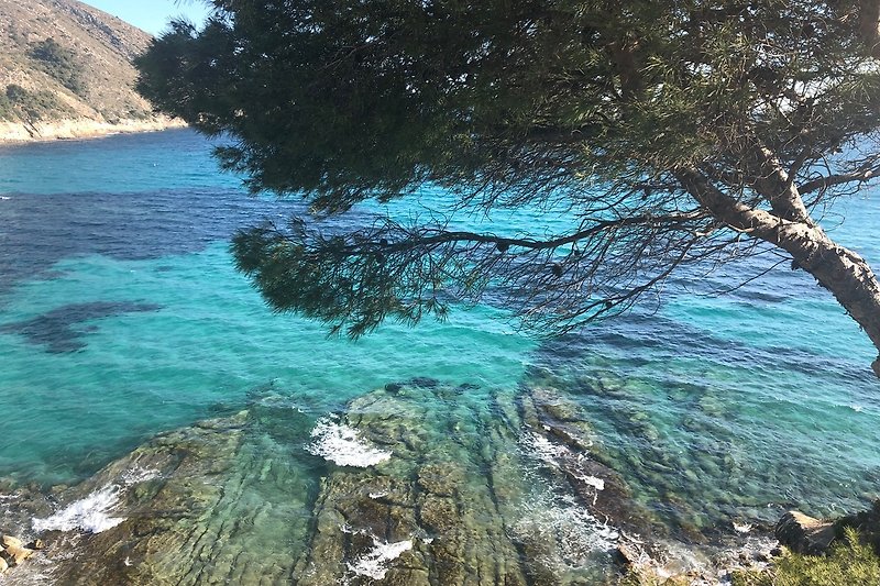 Wunderschöne Küstenlandschaft mit türkisblauem Wasser und felsigen Klippen.
