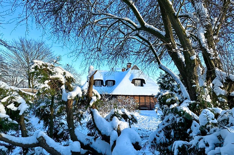 Winter in Hobstin mit blick auf das verschneite Landhaus.