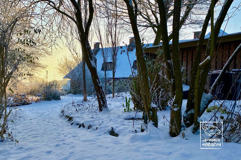 Winter im Garten des Landhaus Hobstin, Blick auf die "Alte Kate" bei Sonnenaufgang.