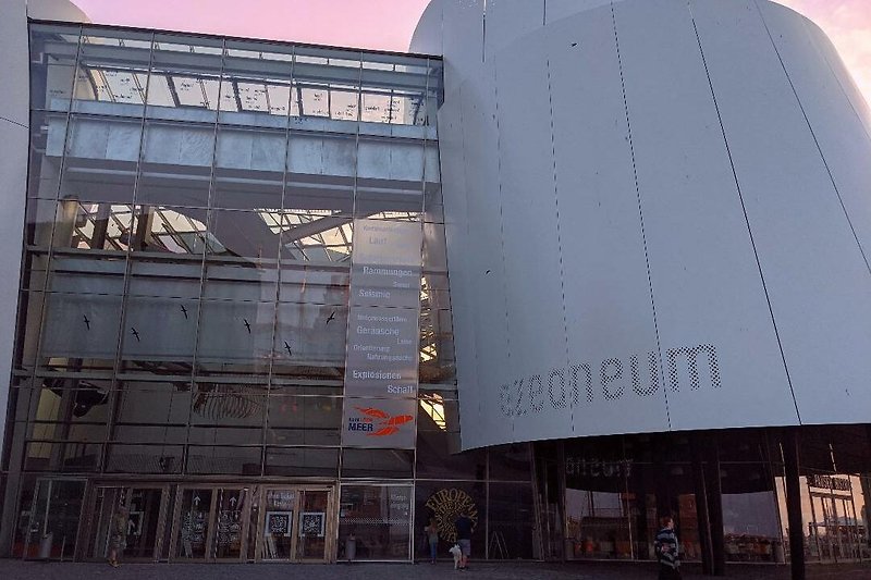 Das berühmte Ozeaneum am Hafen  - Naturkundemuseum zu den Themen Ostsee, Nordsee und Nordatlantik