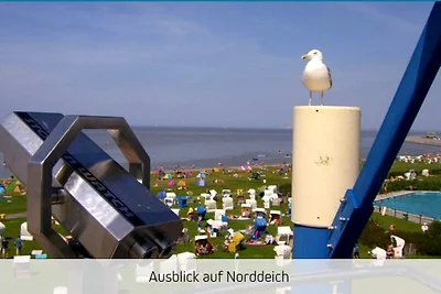Strand Hafen und Meer Wohnung 2