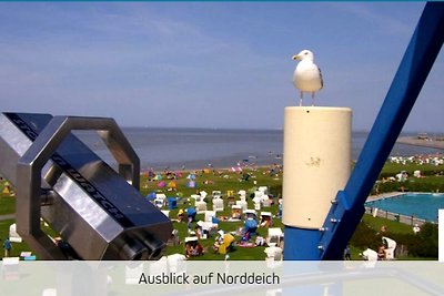 Strand Hafen und Meer Wohnung 1