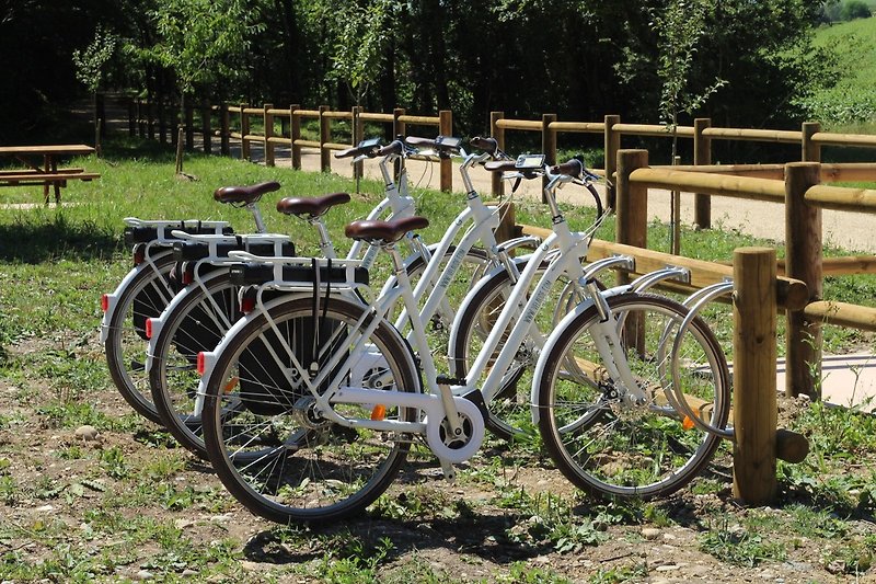 Une image avec un vélo, des pneus, des équipements de vélo et une roue.
