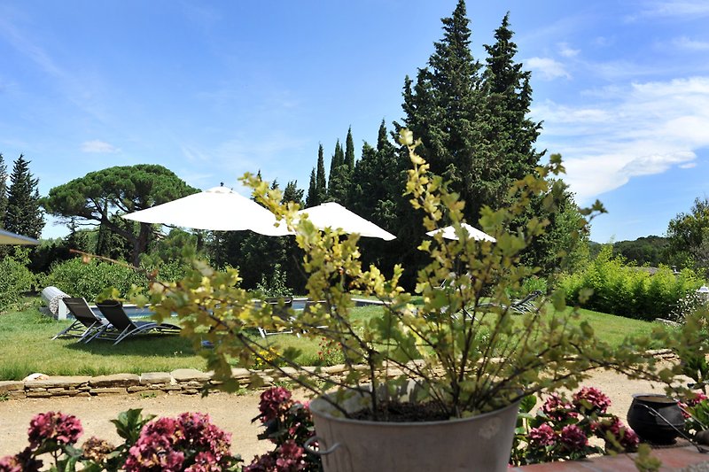 Une terrasse avec des plantes, des fleurs, des parasols et du mobilier extérieur.