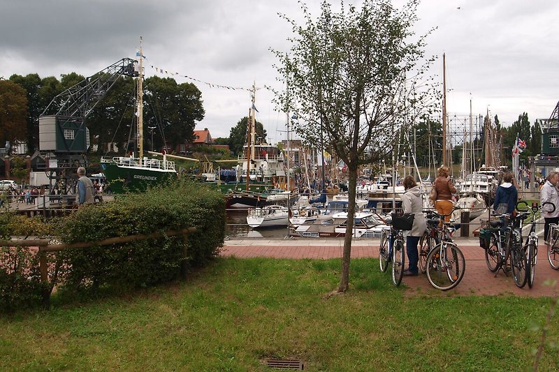 Eine idyllische Stadtlandschaft mit Fahrrädern, Bäumen und einem Park. Perfekt für Radtouren und Erholung.