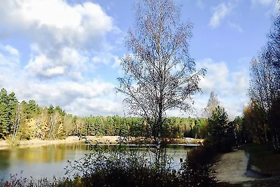 Ferienhaus am Waldsee