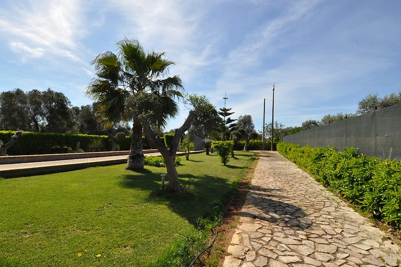 Tropischer Garten mit Palmen, grünem Gras und natürlicher Landschaft.