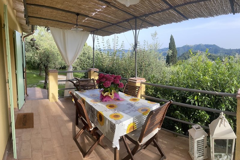 Einladende Terrasse mit stilvollen Möbeln und blühenden Pflanzen.