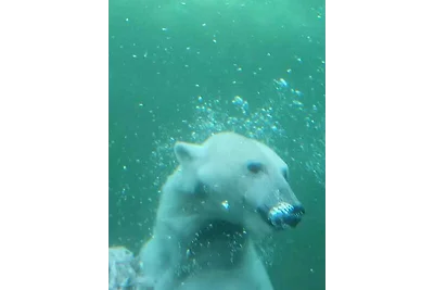 Bungalow "Eddy"-EG mit Hund- Privat