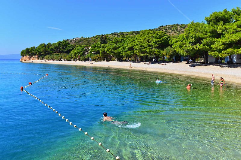 Schöner Strand mit türkisblauem Wasser und grüner Vegetation.
