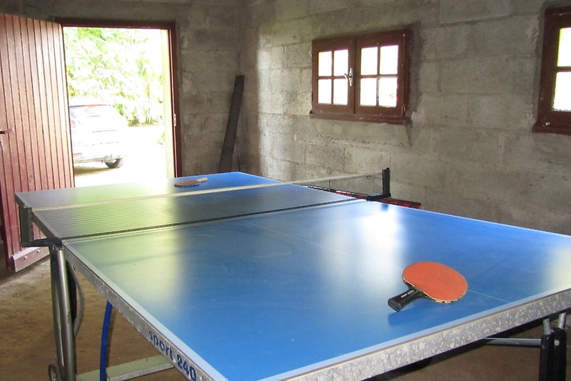 Gemütlicher Raum mit Tischtennisplatte, Möbeln und Sportausrüstung. Perfekt für Indoor-Spaß.