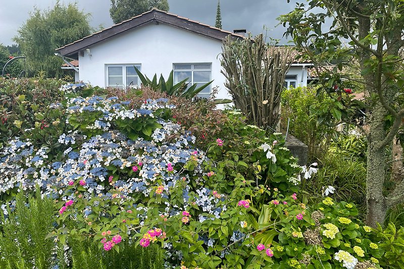 Ein idyllischer Garten mit blühenden Pflanzen und einem malerischen Ausblick.