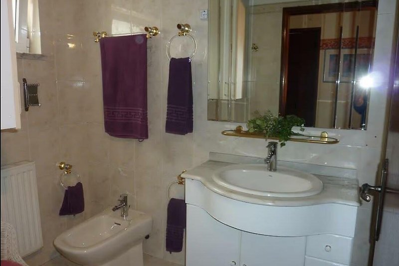 …Duschbad für die „Hotelsuite“ mit Bidet