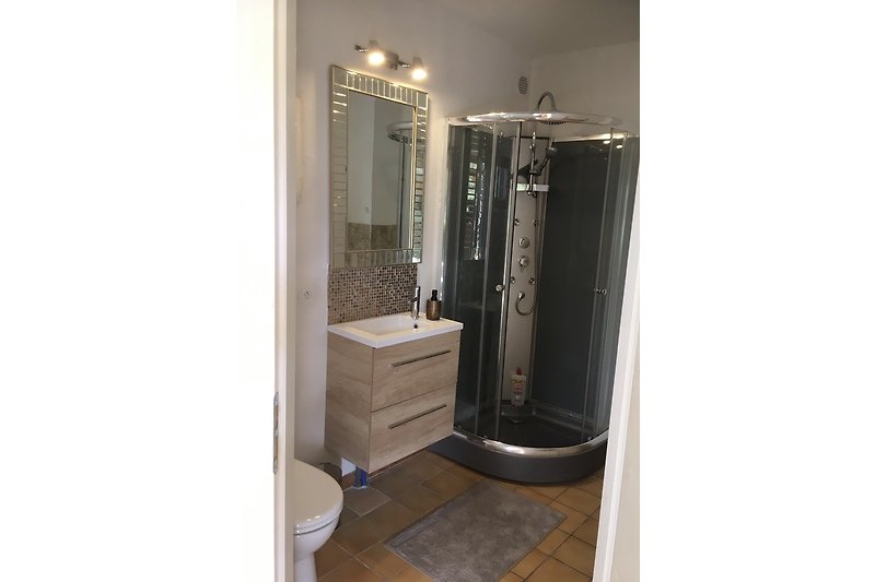 2. Badezimmer mit  elegantem Waschbecken , Toilette und Wellness-Dusche mit Massage.