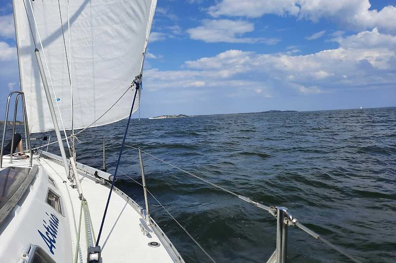 Wasser, Boot, Segeln, Himmel - Perfekt für Wassersportler!