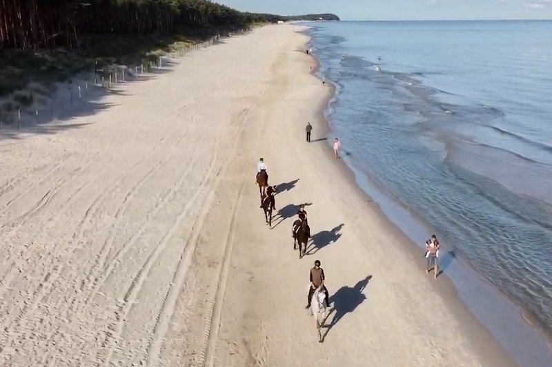 Plaża- konny spacer