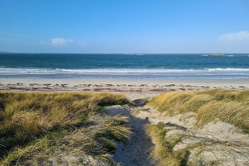 Schöne Küste mit Sandstrand, blauem Himmel und grünen Pflanzen.