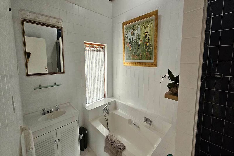 Mooie badkamer met spiegel, ligbad, aparte douche en wastafel.
