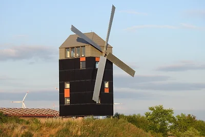 Mühle Wartin