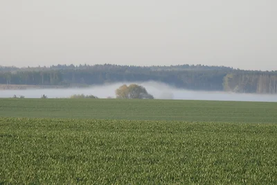 Mühle Wartin