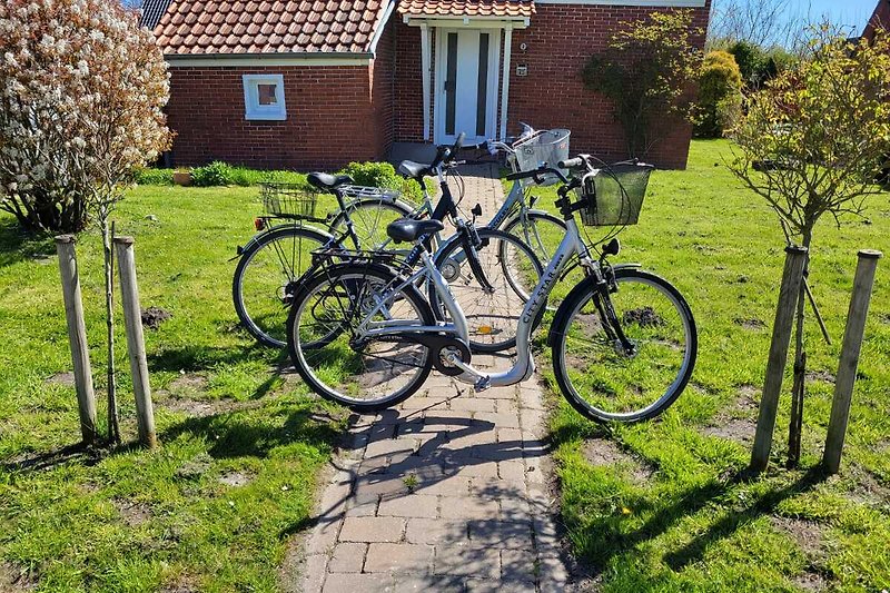 Fahrräder, Räder, Reifen, Pflanzen, Fenster, Haus, Garten, Gras.