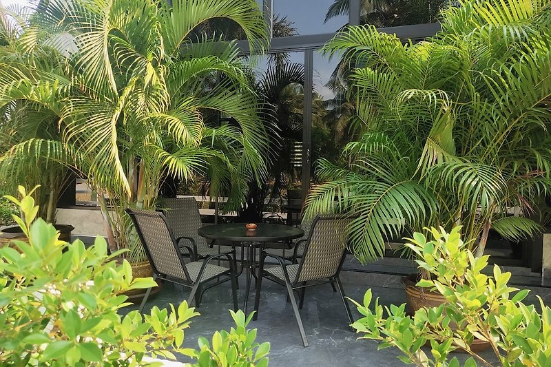 Schattiger Garten mit Palmen, Pflanzen und Gartenmöbeln.