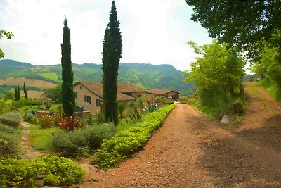 La Casa di Petra - L'Olivo