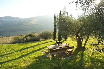 La Casa di Petra - L'Olivo