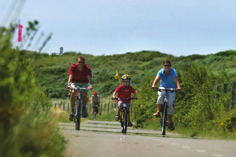Fahrräder, Natur und Landschaft - perfekt für Radtouren!