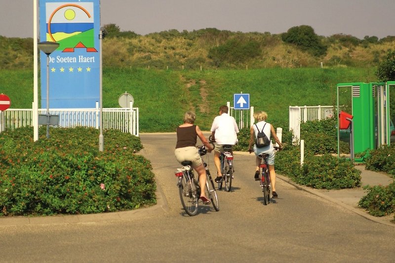 Fahrräder, Pflanzen und grüne Landschaft in ländlicher Umgebung. Perfekt für Radtouren und Erholung.