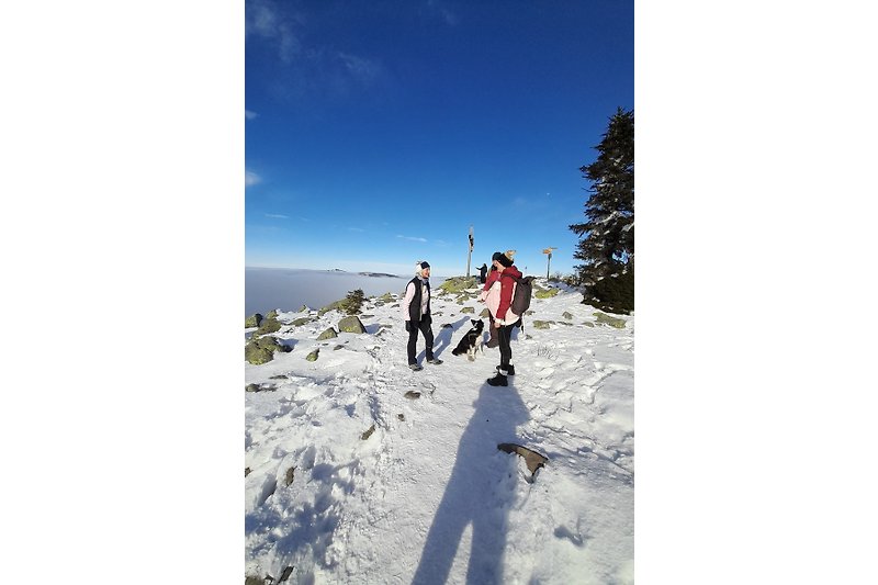 Eine atemberaubende Winterlandschaft mit schneebedeckten Bergen und einer Skipiste. Perfekt für Abenteuer und Skifahren.