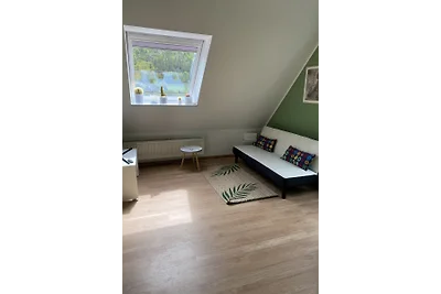 Casa Hanf