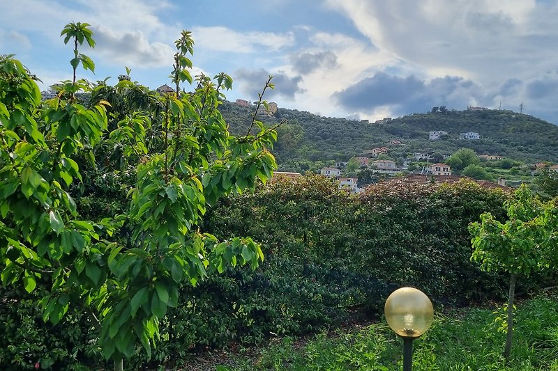 Vista sulle colline Imperiesi dal giardino retrostante il parcheggio privato