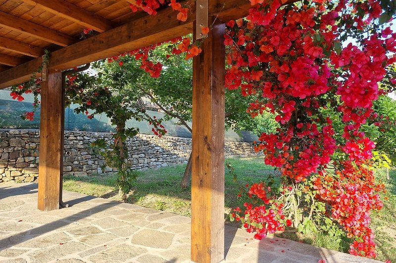 Vista dal parcheggio sul giardino privato retrostante con tipiche fioriture estive di bouganville