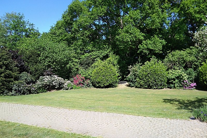 Der Garten mit Blick in den versteckten Waldspielplatz