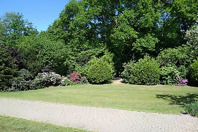 Panoramablick