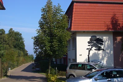 Dünengarten 55