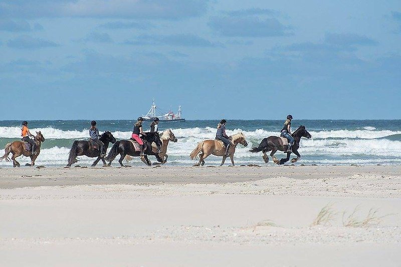 Schönes Strandpanorama mit Pferden, Menschen und blauem Himmel.